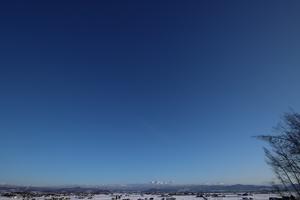 今日も雲ひとつない青空‼ - 突哨山(とっしょうざん)花ごよみ２　spipino2's Blog