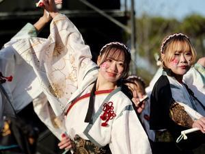 ２０２５YOSAKOI高松踊りその６（香川大学よさこい連　風華） - ヒロパンのよさこいライク・N-VANライフ