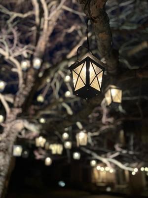 もうヒトリの不機嫌なトナカイ