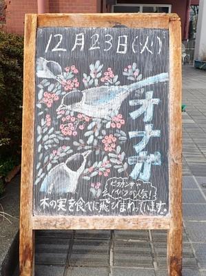 クリスマス直前と年末年始休館日と1月のガイドウォークのお知らせ - 水元かわせみの里水辺のふれあいルーム