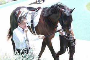 ランドスター（２歳新馬・芝１４００ｍ優勝） - 愛しのサラブレッド写真館　