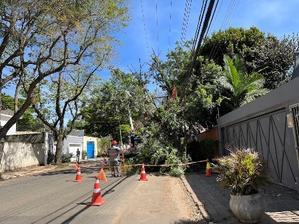 9月の素敵な想い出①先ずはプレゼントを買いに… - ハチドリのブラジル・サンパウロ日記