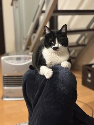 こんな場所でもくっつくの - ちいさなチカラ