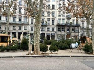 モミの木もまだ - リヨンの散歩２