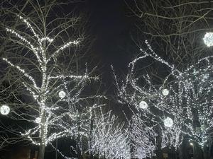 小さな花アトリエ