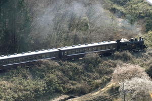 ねこの撮った汽車