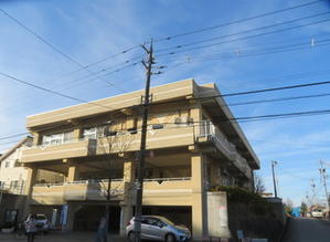 つや子の日記Ⅱ