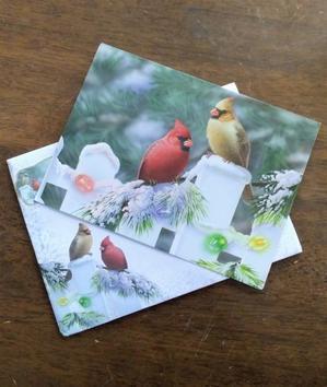 　工房と小さなお店と日々の暮らし　kazari&salut　　　　　　