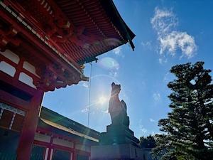 追跡アマミキヨ