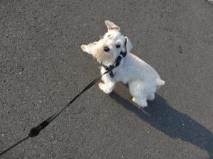 小さな眼科クリニック＠城北公園　　　（竹内眼科医院）