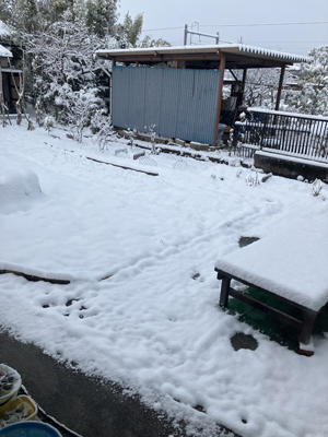 食いしん坊日記Ⅱ