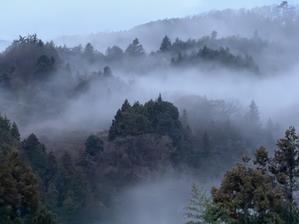 陣馬一ノ尾四季便り