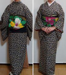 ツバキ帯 - うまこの天袋