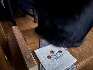 残りあと一週間になってしまってる - 糸巻きパレットガーデン　2024・25 年版