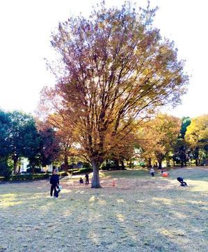 ＊ぐるぐるRappo'Land＊ラッポ・ランドは遊び心をKeyWordに綴られる！