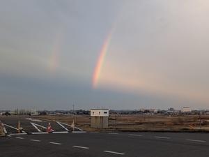 気ままに野鳥プラス