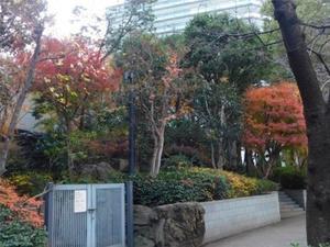 写真狂人のひとりごと５　