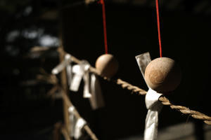 節操のない写真館