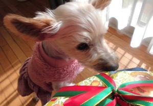 そるたん太るです