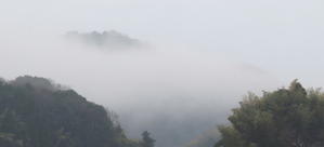 衰退国家の片隅で