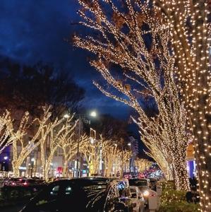 Petit à petit（プチ・タ・プチ）