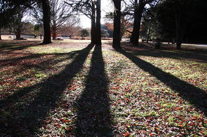可愛らしいクリスマス飾り