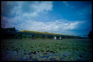 Nostalgia through a LEICA