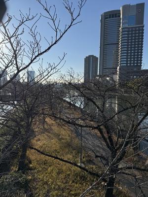 大川にて・・・・・・ - Fukazawa BLOG