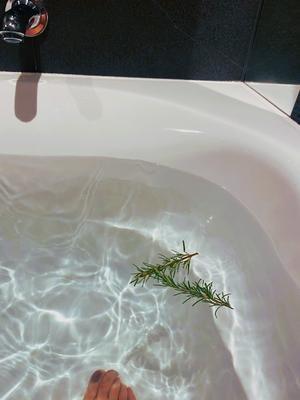 ハーブ＆ソルト - chinois chic