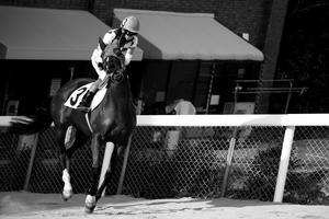 謹賀新年 - あるふぁ日記2