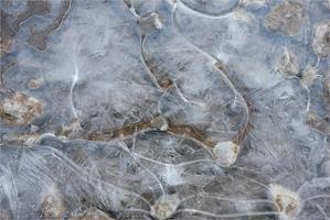 トコトコブログ