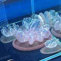 アクアンイニシエート : 運動公園