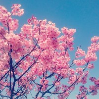 ぶらくらになる むとの日記ぽいもの