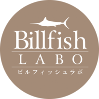 深海のカジキ メカジキが遠州灘で ビルフィッシュラボ カジキ深海魚研究所 深海のカジキ メカジキが遠州灘で ビルフィッシュラボ カジキ深海魚研究所