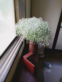 さとう花卉苑 さとう花卉苑