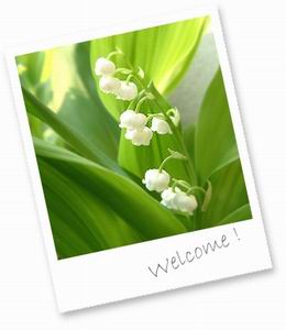 ついに結婚 T T チ ジニ Openspace