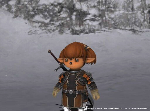 ff11日誌 16 W シャキーン タルタルライス ff11日誌 16 W シャキーン タルタルライス