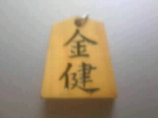 カナシス実戦記