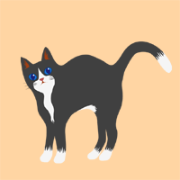 はいからさんが通るを読んでショック エビスa面 はいからさんが通るを読んでショック エビスa面
