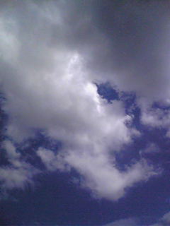 道に咲いた花にさりげなく笑いかける君が大好きで 骰は投げられた