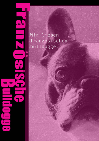 犬用リストバンド Frenchbulldog Lifeときどき爺