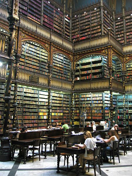 王立図書館 月桂樹 王立図書館 月桂樹
