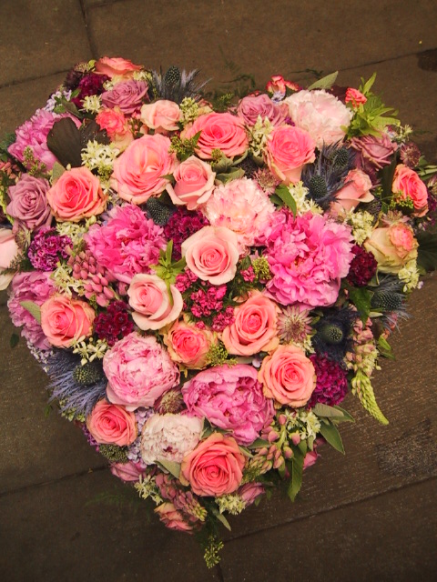 虹～紫陽花⭐ nozomi on X: 