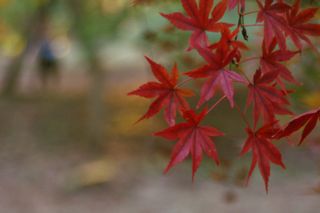 誠実 謙虚 感謝 おそがけ戦略コンサル転身記 誠実 謙虚 感謝 おそがけ戦略コンサル転身記