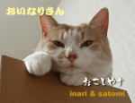 猫を踏み殺す黒いドレスの女 おいなりさん 猫を踏み殺す黒いドレスの女 おいなりさん