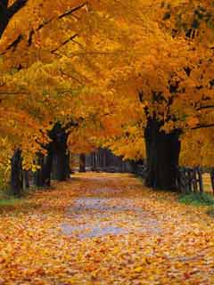 いい曲作るよね 山崎まさよしって いえ それはスガシカオ お家へ帰ろう いい曲作るよね 山崎まさよしって いえ それはスガシカオ お家へ帰ろう