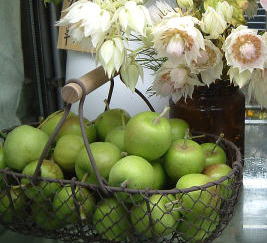 ハイビスカスの実を食す 花灯 Hanabi 栃木県宇都宮市の花屋です