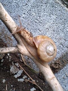 うんこくさいブログ