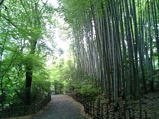 ドラマ 東宮 中国