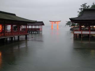 筍の季節ですねー あく抜きは大根おろし汁です おまけの引き出し